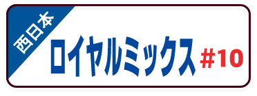 下地調整塗材 JIS認証品 C-2,ロイヤルミックス＃10（西日本限定品）