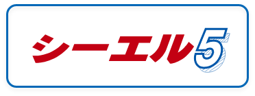 漆喰調セメント仕上材,シーエル5