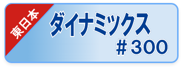 下地調整厚塗材 2材型,ダイナミックス＃300（東日本限定品）