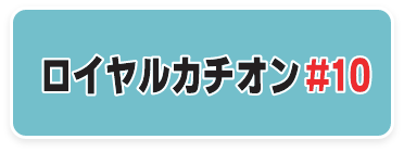 下地調整塗材 JIS認証品 C-2,ロイヤルカチオン＃10